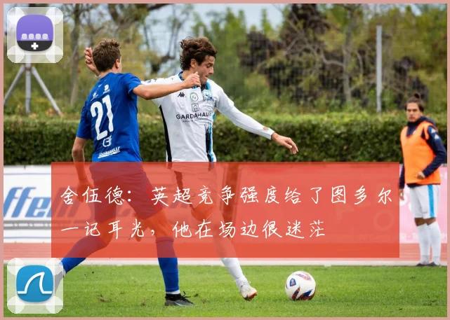 舍伍德：英超竞争强度给了图多尔一记耳光，他在场边很迷茫